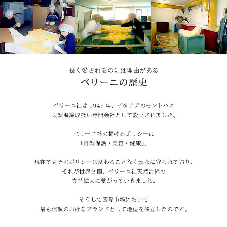 高品質天然海綿 「ベリーニSA16」（ハニコム種）スポンジ