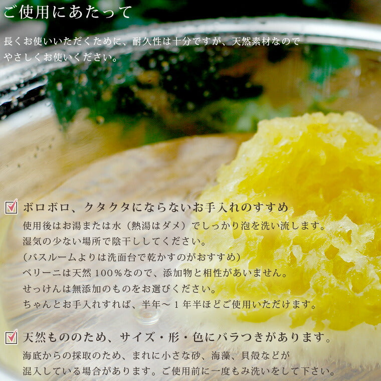 高品質天然海綿 「ベリーニSA16」（ハニコム種）スポンジ