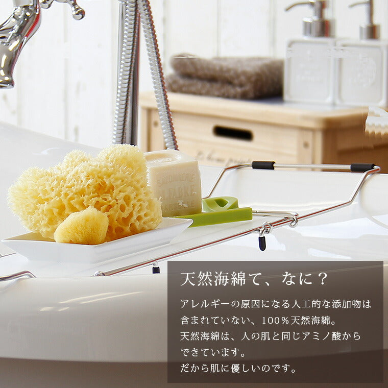 高品質天然海綿 「ベリーニSA16」（ハニコム種）スポンジ