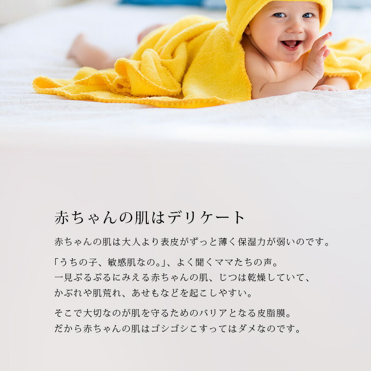 高品質天然海綿 「ベリーニSA16」（ハニコム種）スポンジ